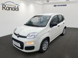Fiat Panda MILD-HYBRID++TAGESZULASSUNG!+HAMMERPREIS! - Fiat Panda mit Hybrid-Antrieb