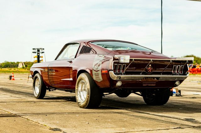 Ford Mustang Fastback Shelby Monster Dragster