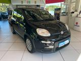 Fiat Panda 1.0 GSE Hybrid - Fiat Panda in Hagen