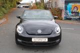 Volkswagen Beetle Cabriolet Sport Leder 1. Hand PDC - Volkswagen Beetle: Sport
