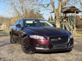 Jaguar XF 30d 300PS Portfolio Automatik  - Jaguar: X300