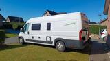 Fiat Forster living up  - Diesel Liv