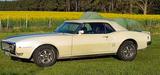 Pontiac Firebird - Pontiac Firebird Gebrauchtwagen