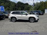 Subaru Forester 2.0 ie 100kW AWD Platinum - Subaru Gebrauchtwagen mit Automatikschaltung