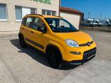 Fiat PANDA 1,3 MultiJet 95 WILD 4x4 vin 531 - Fiat Panda mit Diesel-Antrieb: 1.3