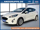 Ford Fiesta 1.0 EB Cool&Connect AppLink+PDC+Winterpak - Ford Fiesta Gebrauchtwagen in Chemnitz