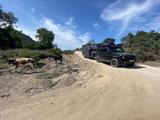 Crawler Batu 535 Offroad Wohnwagen Anhänger: Optimiert - Offers