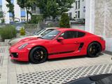 Porsche Cayman S - gebrauchte Porsche Cayman aus dem Jahr 2013