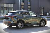 Lexus NX 350h 350h Luxury Line Luxury Line - Lexus aus 2023