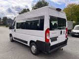 Fiat Ducato Luxusbus Panorama Modular L2H2 150 MJ - Fiat Ducato in Osnabrück