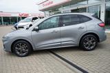 Ford Kuga 1.5 EcoBoost ST-Line Head-Up Alcantara B&O - gebrauchte Ford SUV & Geländewagen