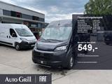 Fiat Ducato Maxi 35 L2H2 Automatik AHK RüKa CarPlay - Fiat Kastenwagen hoch + lang Maxi