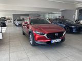Mazda CX-30 2.0 150PS Exclusive-line 360° Matrix-LED B - Mazda CX-30: Exclusive Line