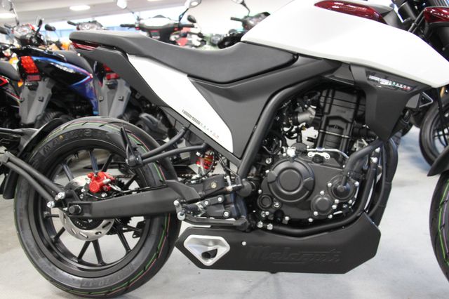 Malaguti Drakon 125 ABS Ganganzeige  B196!