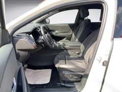 Fahrzeugabbildung DS Automobiles DS 7 1.6 E-Tense 225 EAT8 Performance Line +