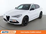 Alfa Romeo Stelvio 2.2 JTDM Estrema Q4 Aut.*NAV*XENON*ACC* - Alfa Romeo Stelvio in München