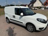 Fiat Doblo Cargo weiß Top Flügeltüren Navi... - Fiat Doblo in Ludwigshafen