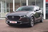 Mazda CX-30 2.0 M-Hybrid 2WD LED Navi ACC 360° Head-Up - Mazda CX-30 Gebrauchtwagen in Dresden