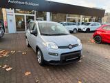 Fiat Panda 1.0 Hybrid | Klima | DAB-Radio | Bluetooth - Fiat Panda in Chemnitz