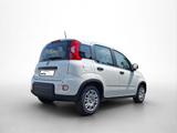 Fiat Panda Hybrid *70PS*DAB*Klima*PDC - Fiat Panda Vorführfahrzeuge