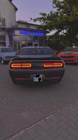 Dodge Challenger R/T  - Dodge Challenger von privat