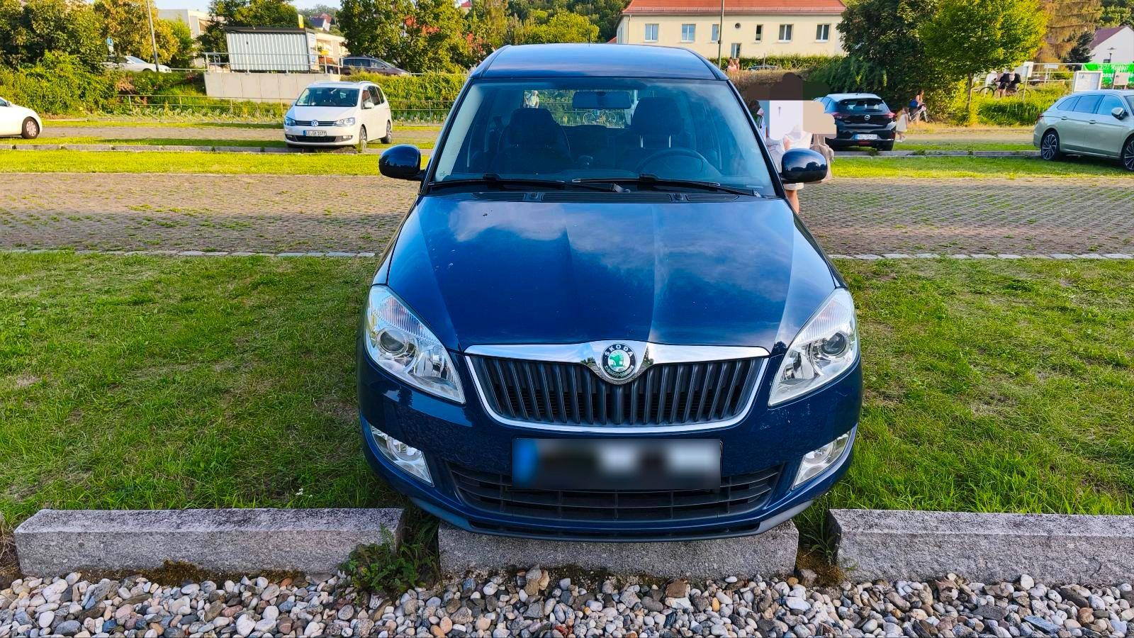 Skoda Roomster, 2010