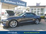 Ford Mustang Cabrio GT Convertible 5,0 Ltr. - 331 ... - Ford Mustang Tageszulassungen
