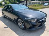 Mercedes-Benz CLS 450 4M*AMG*ACC*Airmatic*Burmester*HUD*360° - Mercedes-Benz CLS 450 aus 2019
