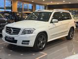 Mercedes-Benz Mercedes-benz GLK 220 CDI 4Matic BlueEFFICIENCY  - aus 2012: Mercedes Glk