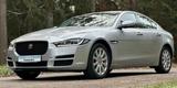 Jaguar XE Portfolio AWD PDC - silberne Jaguar XE