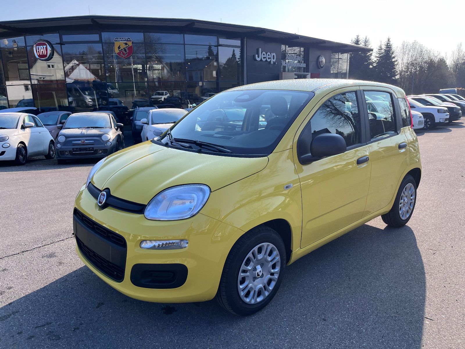 Fahrzeugabbildung Fiat Pandina 1.0 GSE Hybrid 48 kW Icon