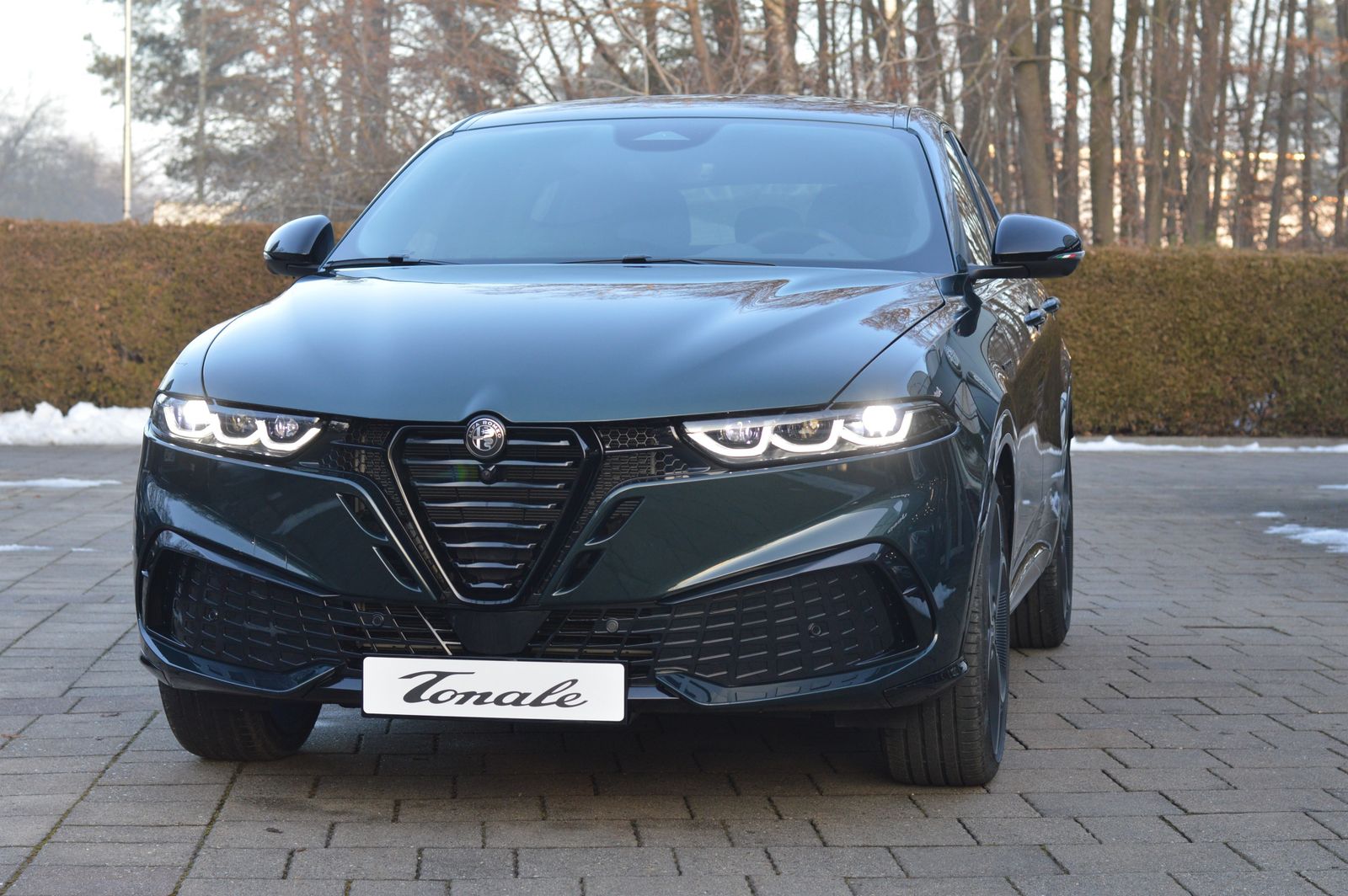 Alfa Romeo Tonale - Bild 1