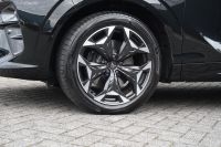 Cupra Terramar - Vorschau Bild 13