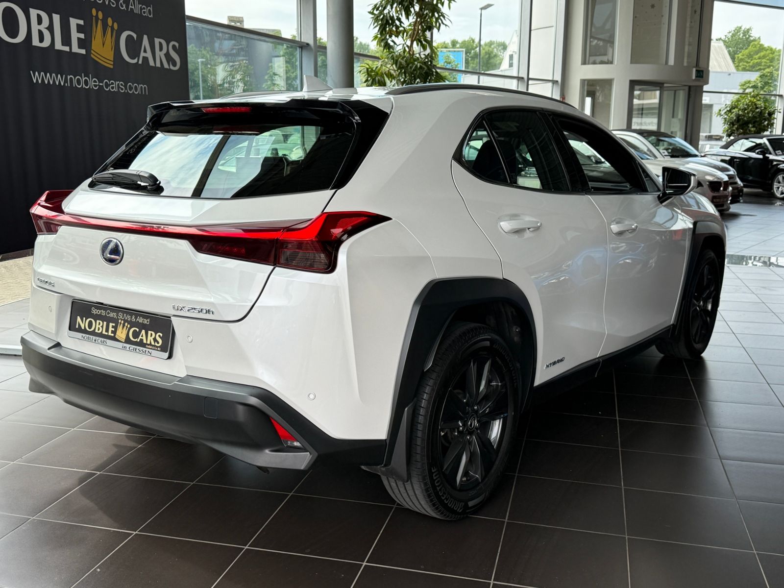 Fahrzeugabbildung Lexus UX 250 h Launch Edition LED NAV RFK SHZ ALU