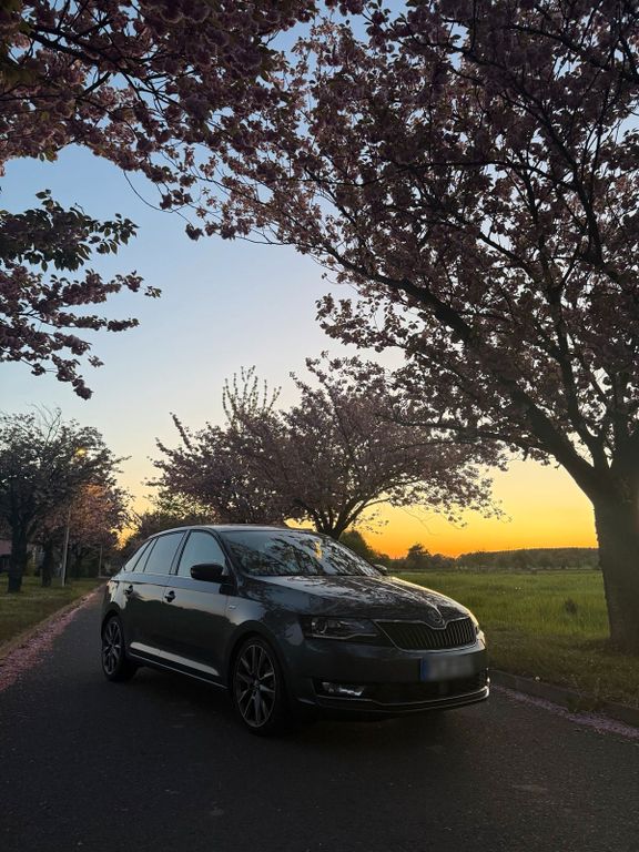 Image of Skoda Rapid