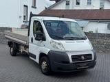 Fiat Ducato Pritsche 3SITZE+WENIG KM*TÜV 06/26*1.HAND - Fiat Ducato: 2.0