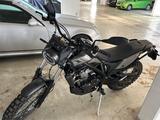 Beta Alp X 2025 - BETA ALP X