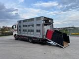 MAN TGX - Angebote