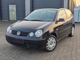 Volkswagen Polo 1.2 Basis Tüv 08/27 - Volkswagen Polo Basis mit Benzin-Antrieb