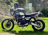 Triumph Scrambler 1200 XE Steve McQueen 439/1000 - TRIUMPH SCRAMBLER