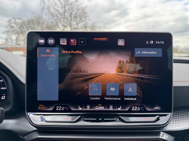 Formentor 2.0 TDI AHK Edge TopView Intelligent W