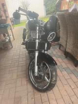 Suzuki Sv 650| Baujahr 2003| A2-tauglich | gepflegt  - SUZUKI 2003 SV 650