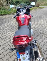 Suzuki Lady in red - GSF 650 Bandit S - Offers