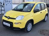 Fiat Panda MY24 1.0 Klima PDC Citypaket - Fiat Panda Gebrauchtwagen in Hamburg