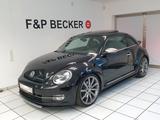 Volkswagen Beetle 1.4 TSI DSG 1.Hand Leder Pano R Line 20´ - VW Beetle mit Schiebedach