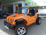Quadix Buggy 800  - BUGGY