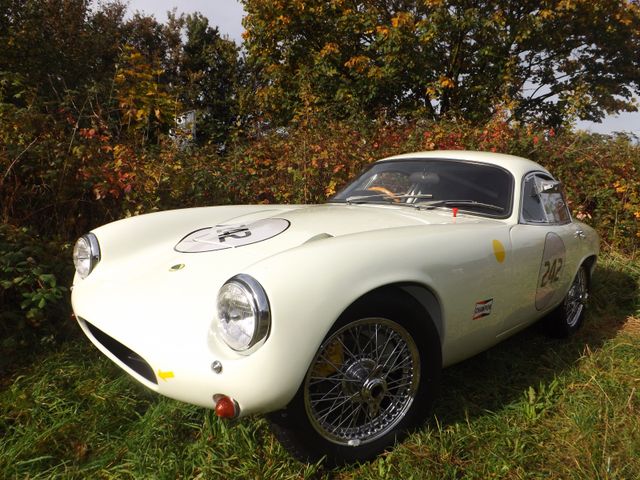Lotus Elite-besser als neu und einmalig!
