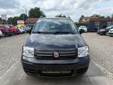Fiat Panda 1.2 8V Dynamic Sportsitze Sport Lenkrad - gebrauchte Fiat Panda aus dem Jahr 2012