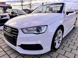 Audi A3 Cabriolet S line Sportpaket TOP ZUSTAND - Audi A3: Sport Line