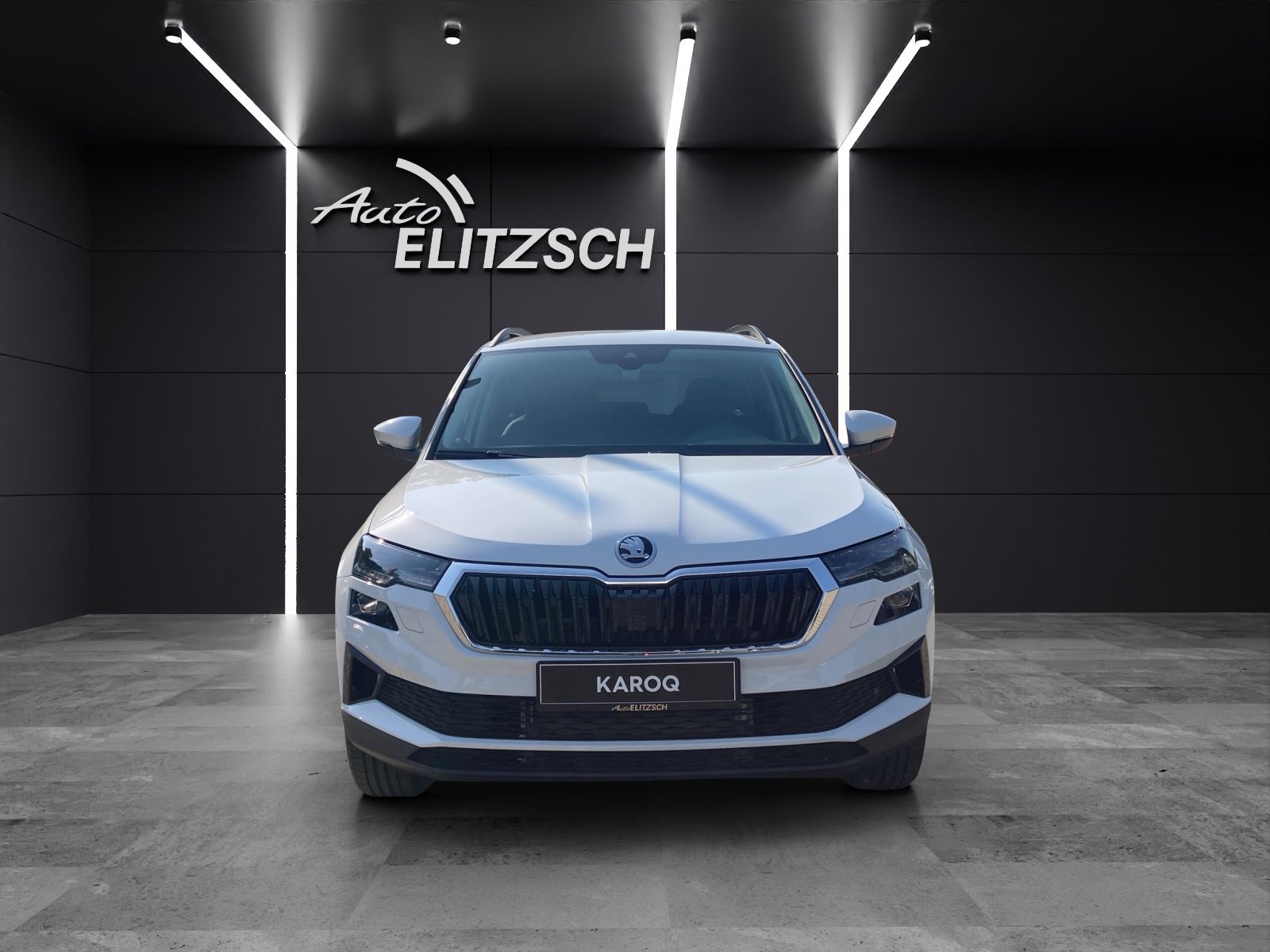 Fahrzeugabbildung SKODA Karoq TOUR TSI DSG LED, AHZV, Digital Cockpit